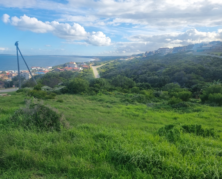 0 Bedroom Property for Sale in Dana Bay Western Cape